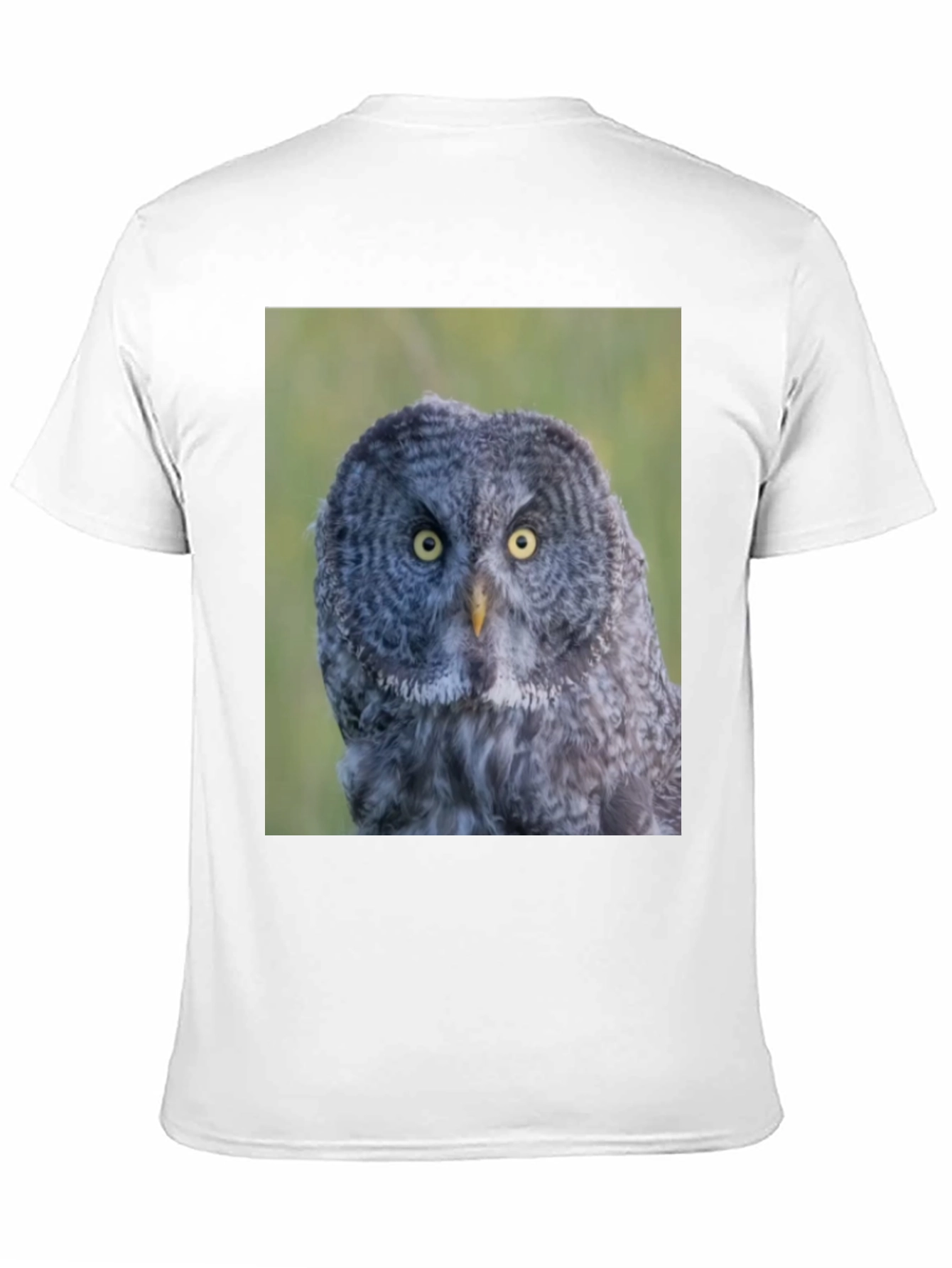 Owl Graphic Tee - Mens Black T-Shirt