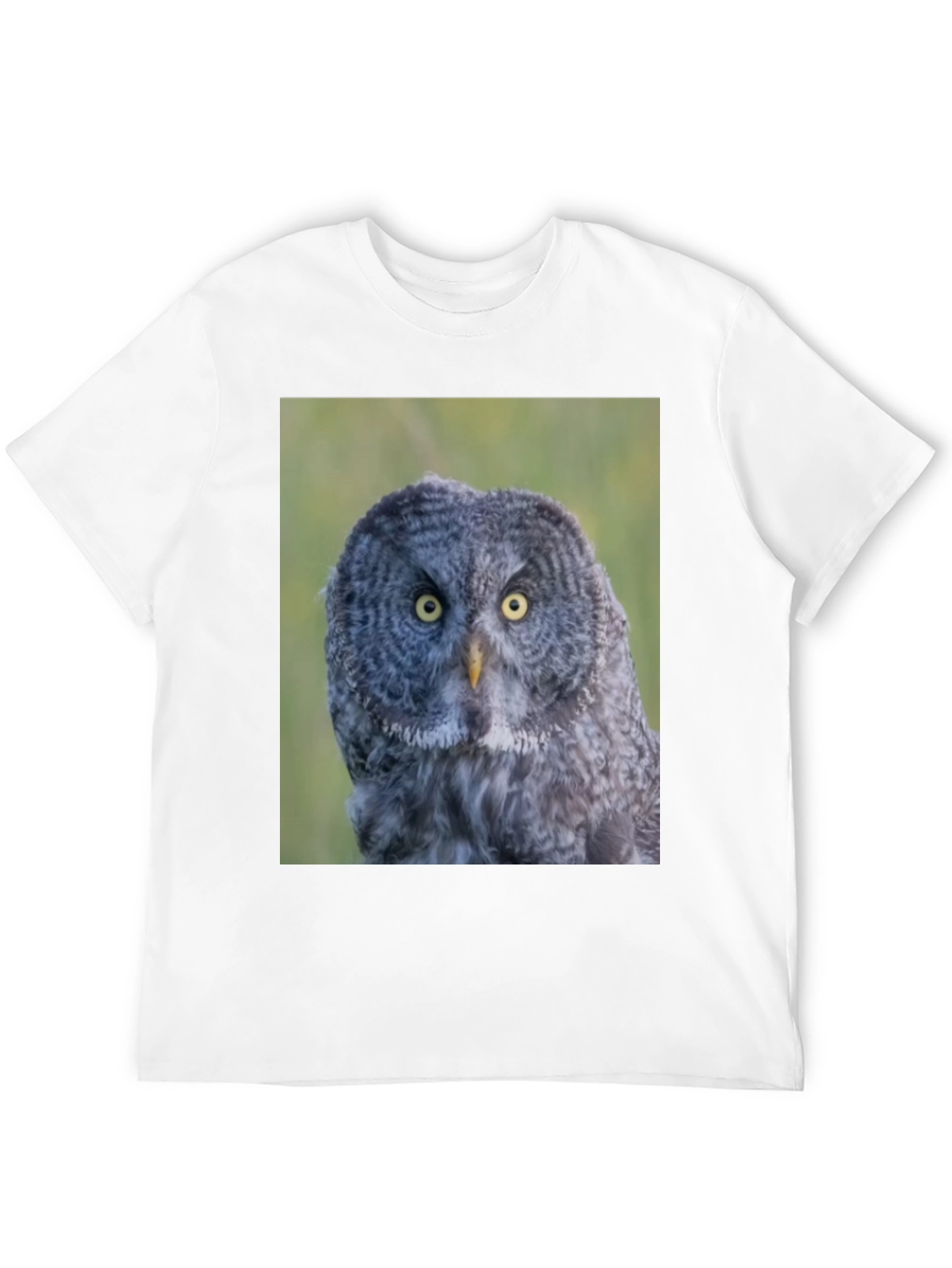 Owl Graphic Tee - Mens Black T-Shirt