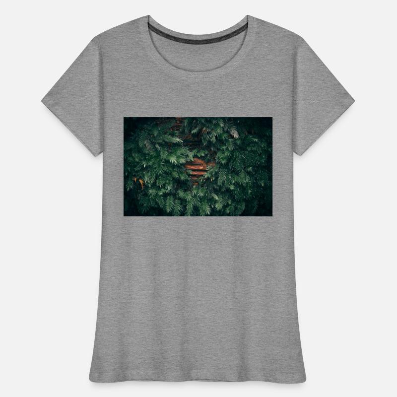 Moss covered tree