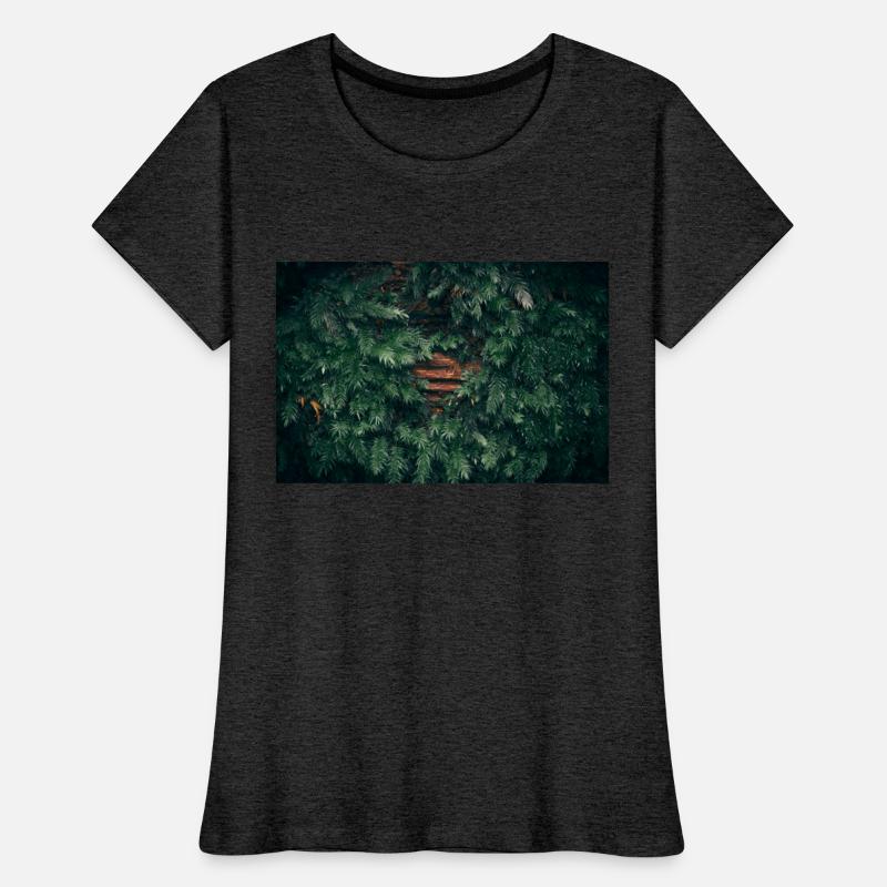 Moss covered tree