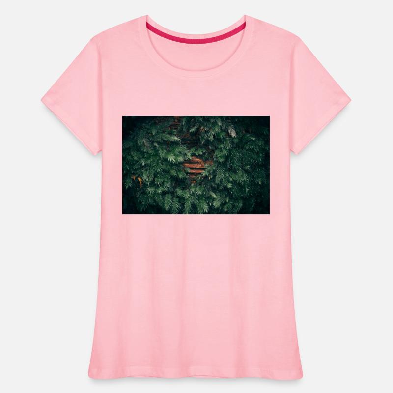 Moss covered tree