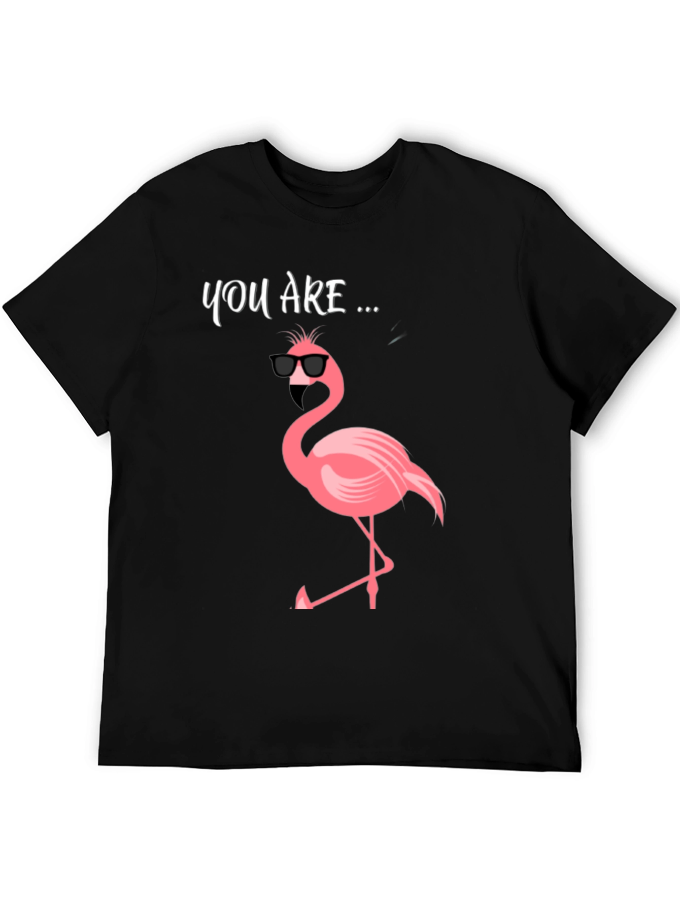 Cool Flamingo Graphic Tee - Mens Black T-Shirt