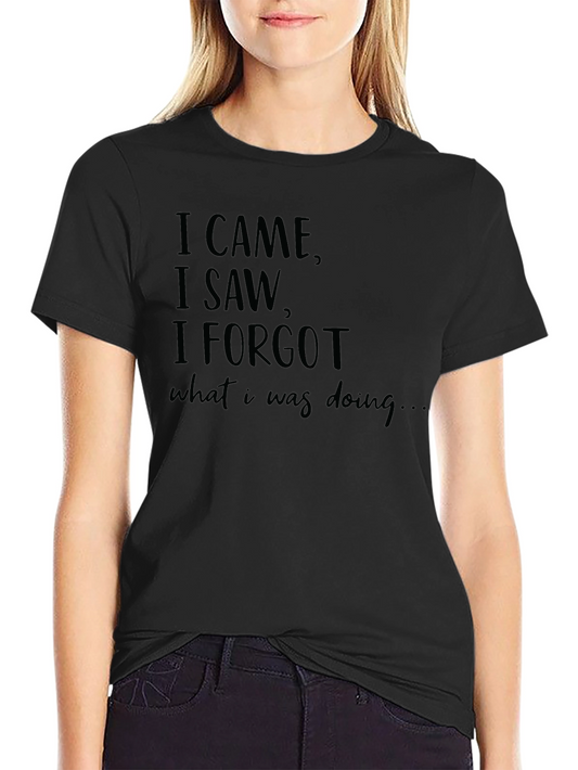 Funny Sarcastic T-Shirt - I Came I Saw I Forgot
