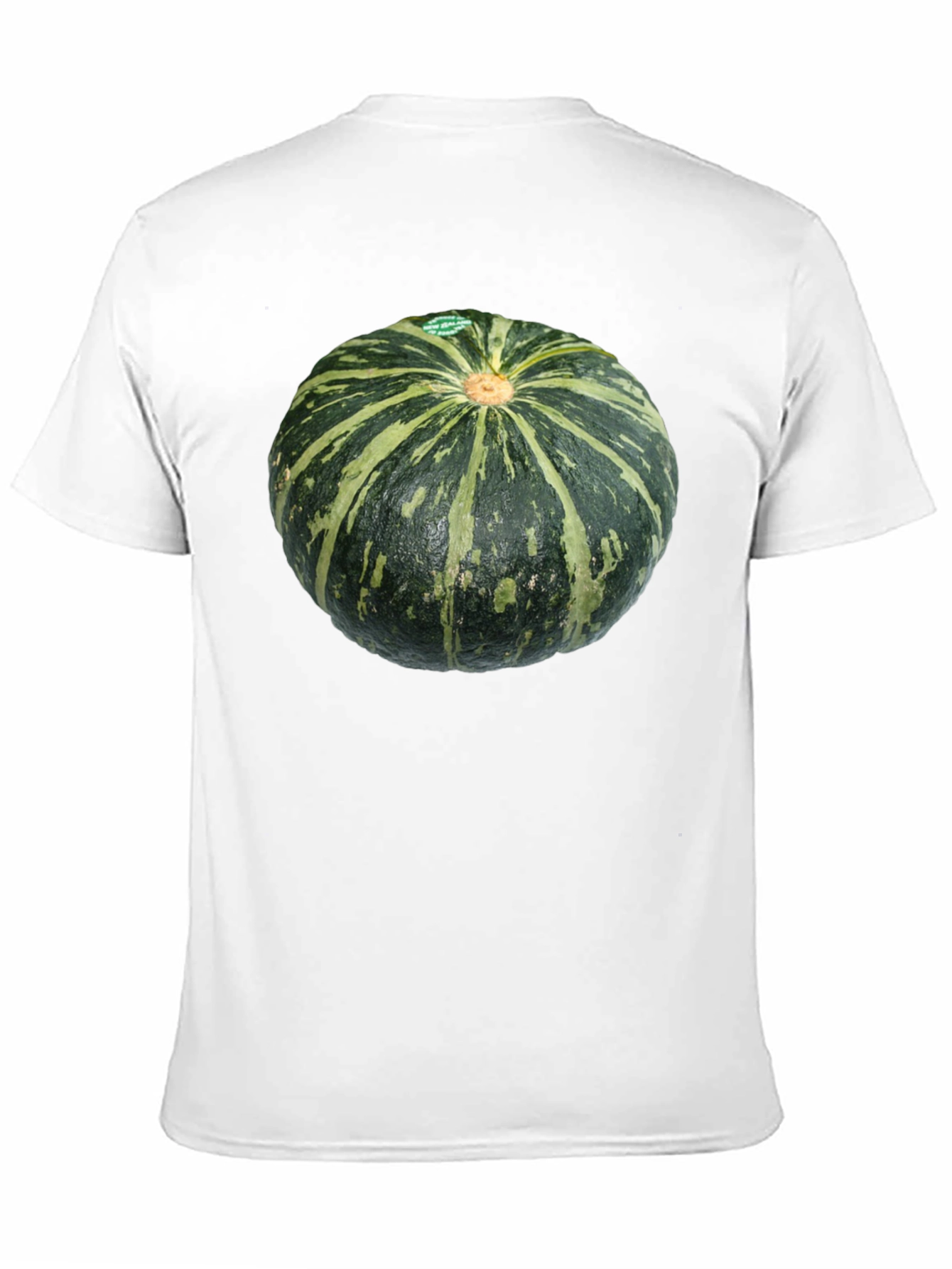 Kabocha Squash Graphic Tee - Unique Food Shirt