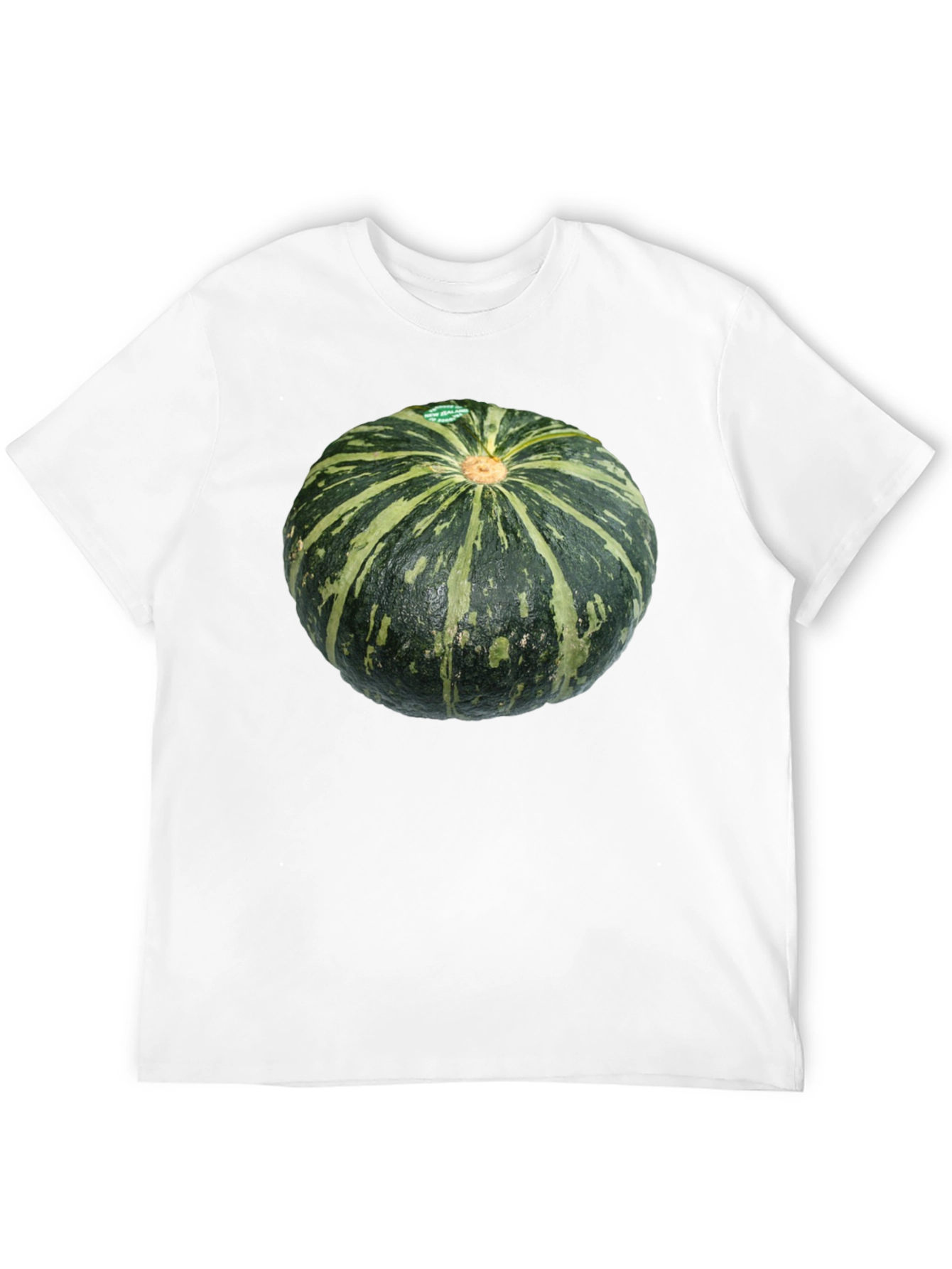 Kabocha Squash Graphic Tee - Unique Food Shirt