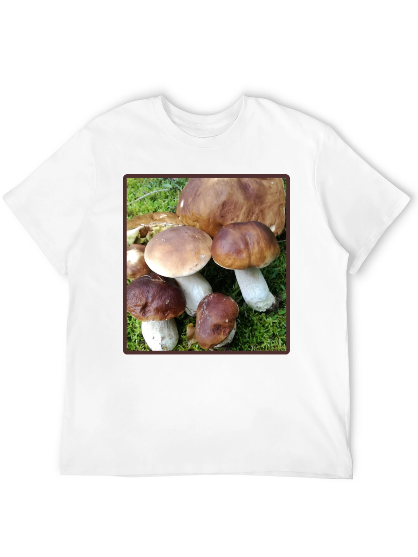 Mushroom Graphic T-Shirt - Forest Fungi Tee