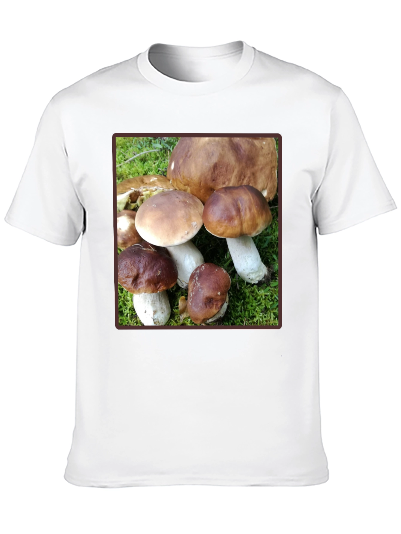 Mushroom Graphic T-Shirt - Forest Fungi Tee