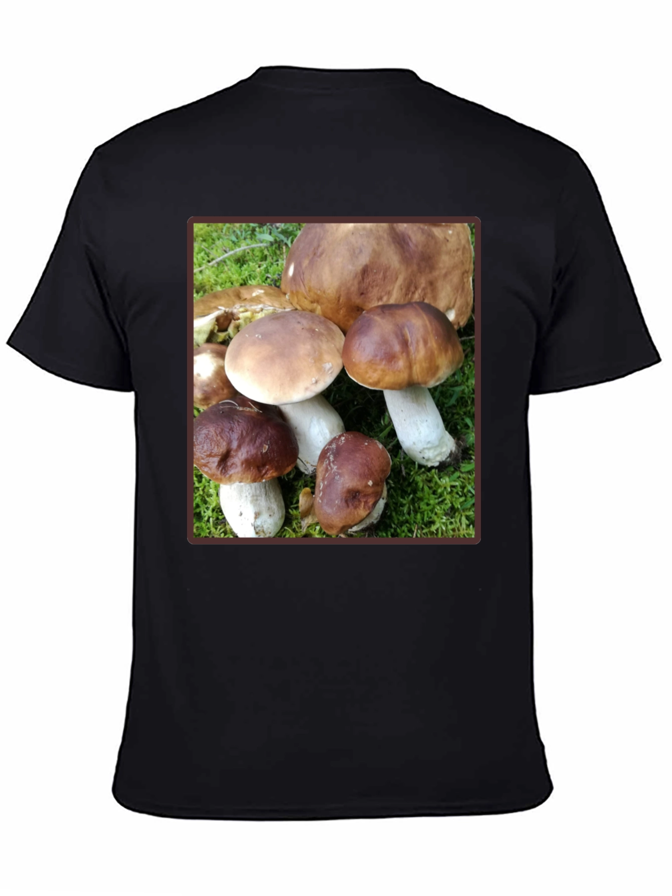 Mushroom Graphic T-Shirt - Forest Fungi Tee