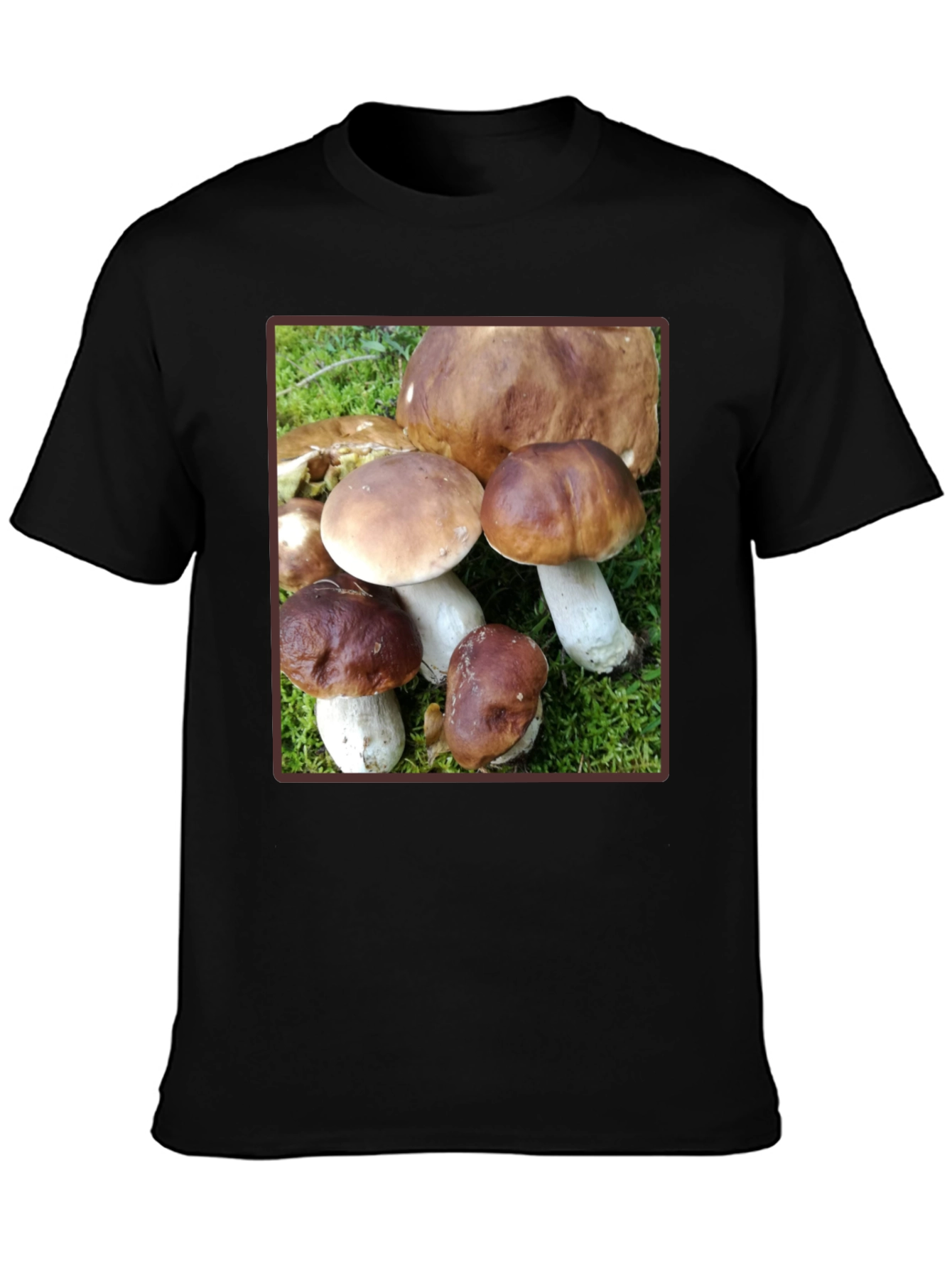 Mushroom Graphic T-Shirt - Forest Fungi Tee