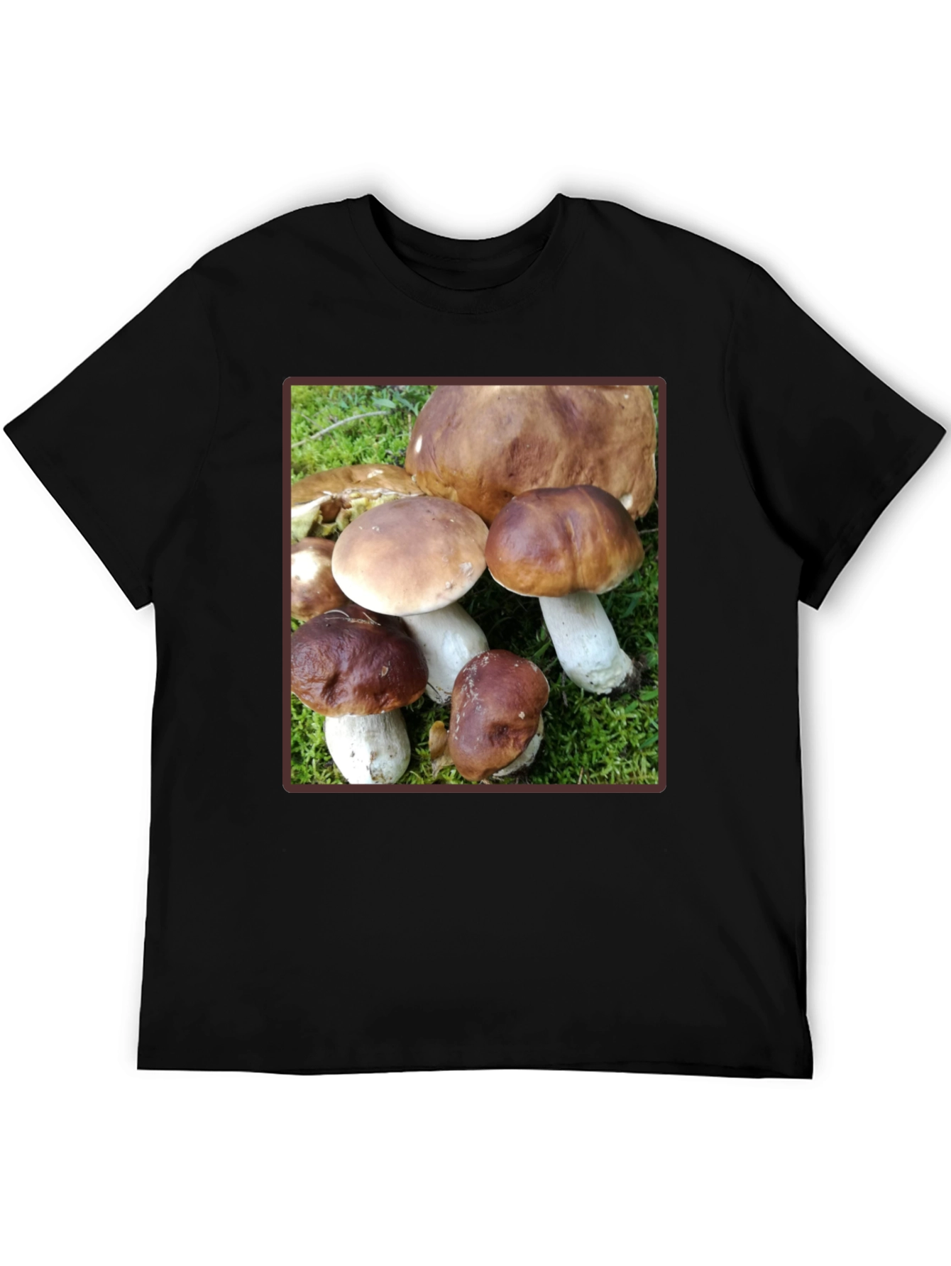 Mushroom Graphic T-Shirt - Forest Fungi Tee