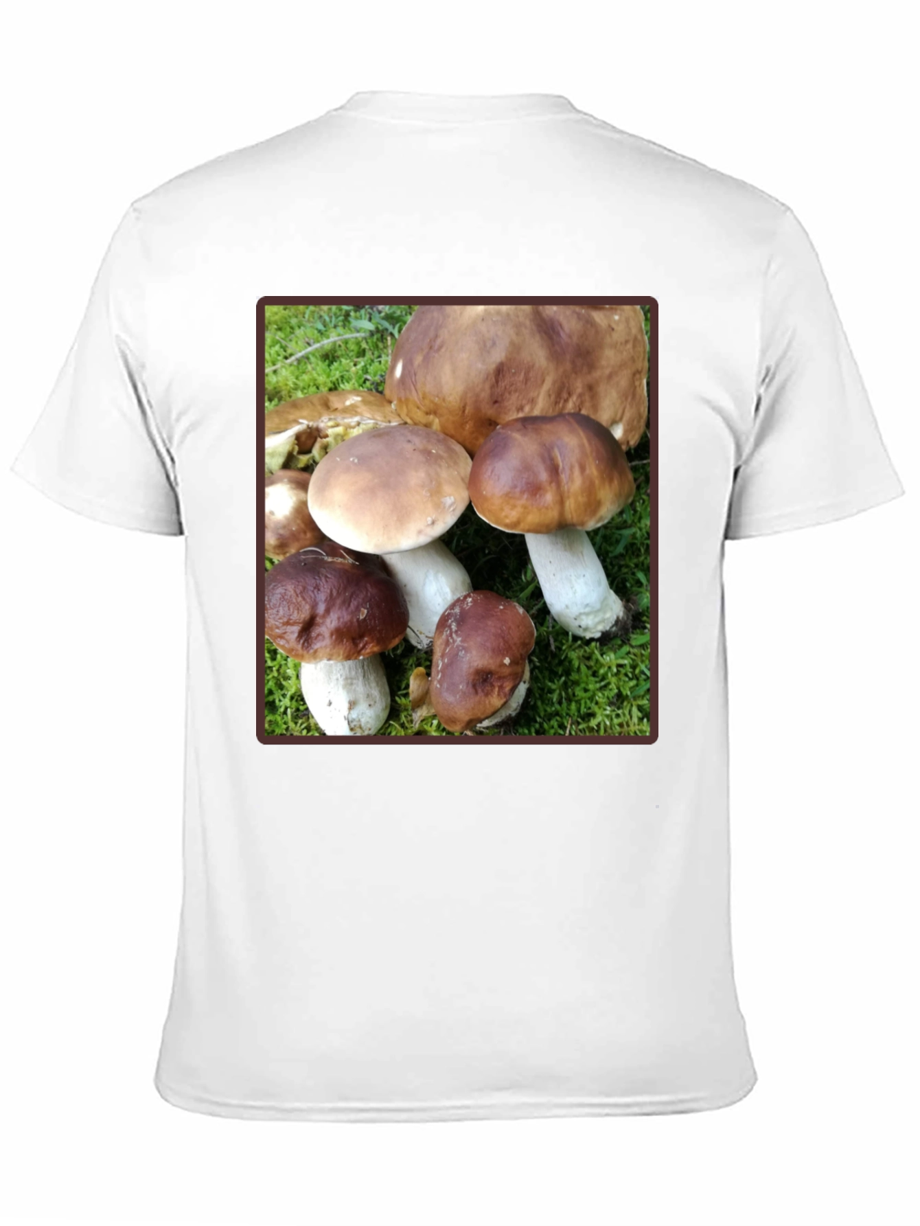 Mushroom Graphic T-Shirt - Forest Fungi Tee
