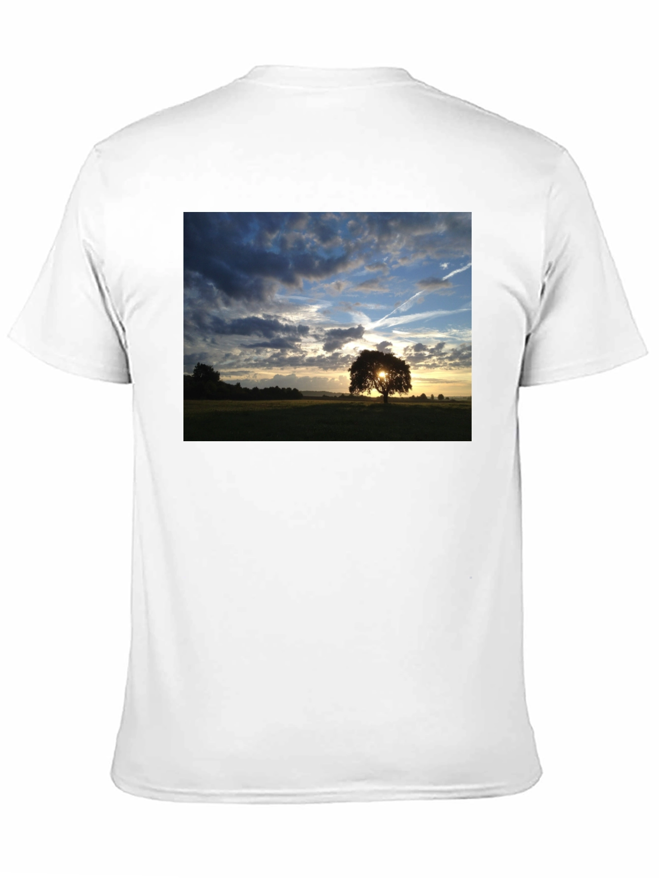 Sunset Tree Graphic Tee - Nature Lovers T-Shirt