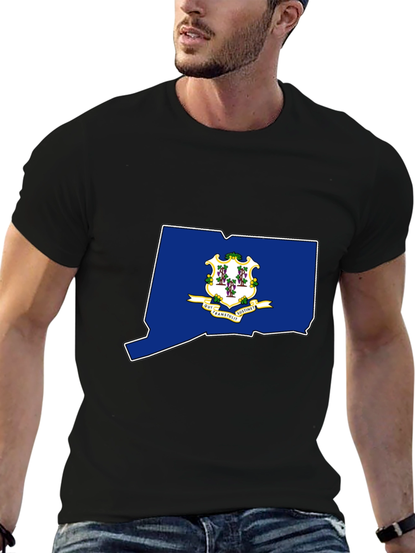 Connecticut State Flag T-Shirt