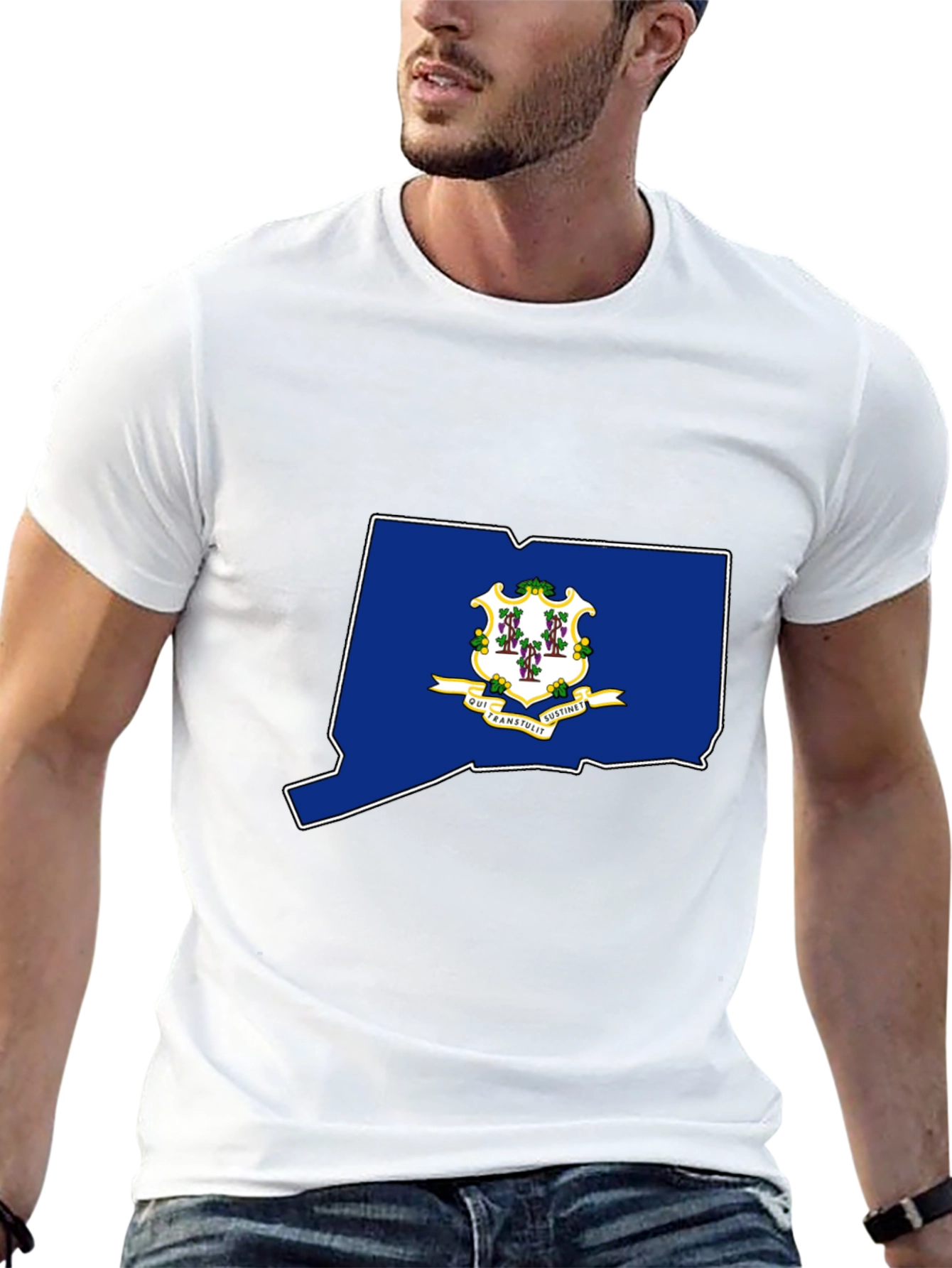 Connecticut State Flag T-Shirt