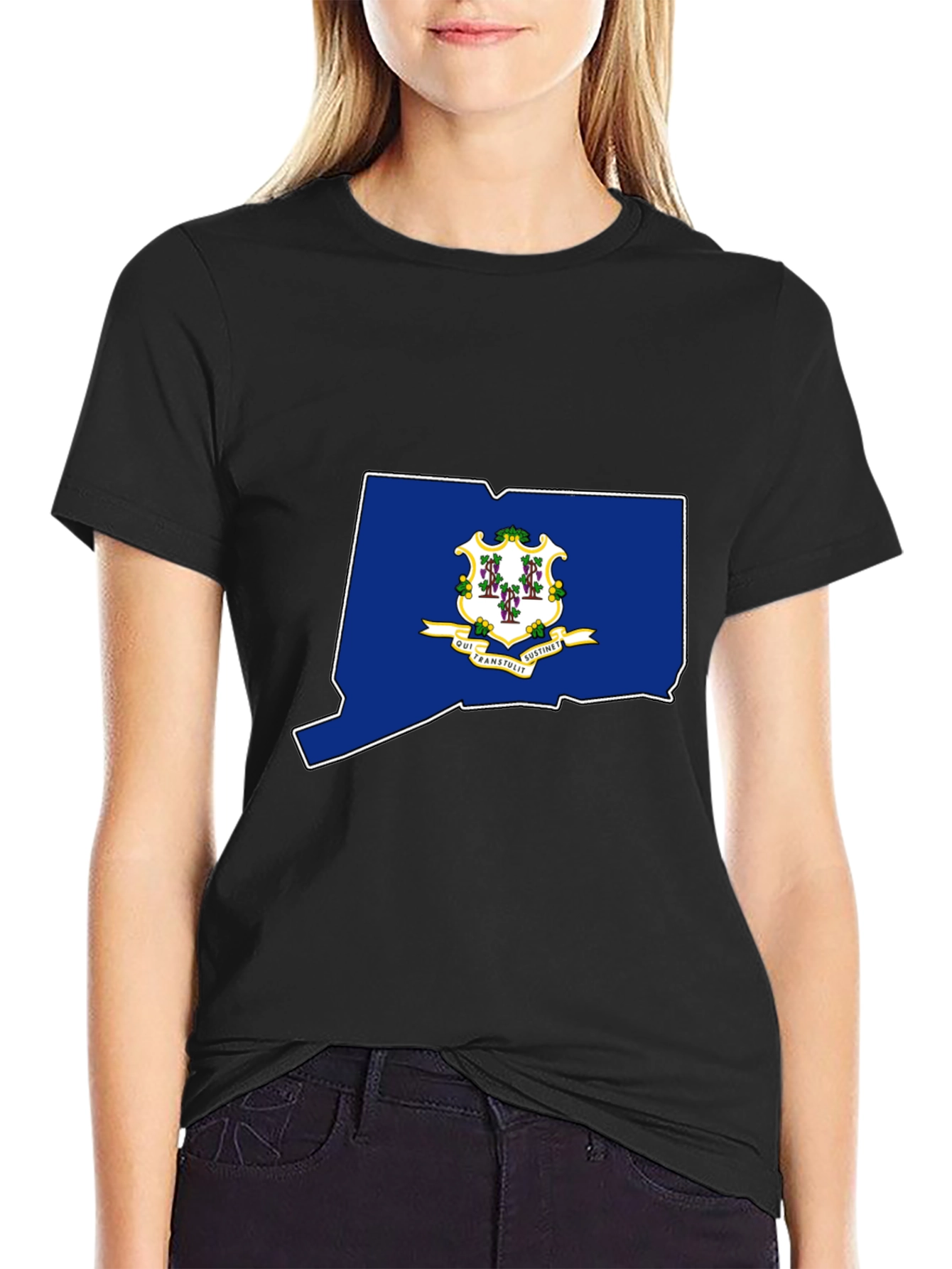 Connecticut State Flag T-Shirt