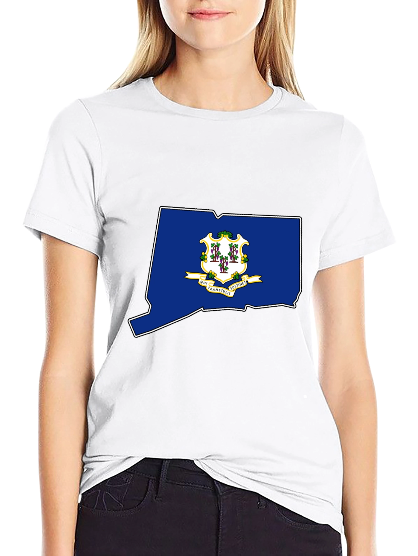 Connecticut State Flag T-Shirt