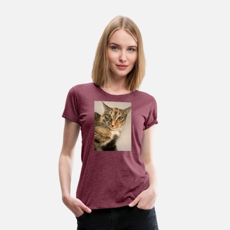 Tabby Cat Portrait Design