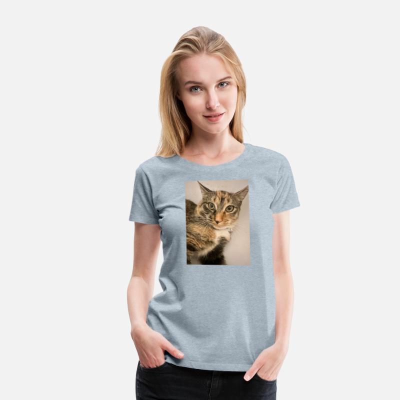 Tabby Cat Portrait Design