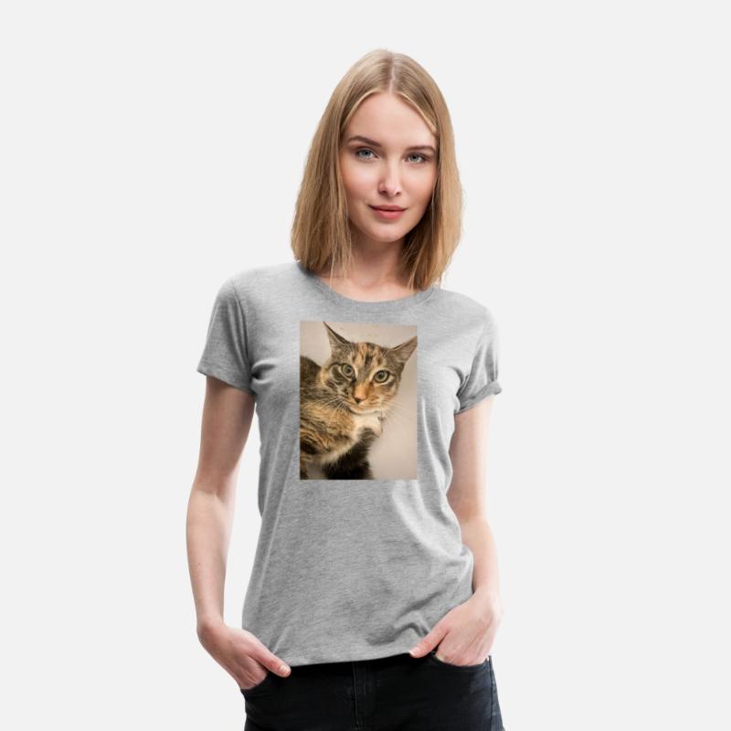 Tabby Cat Portrait Design