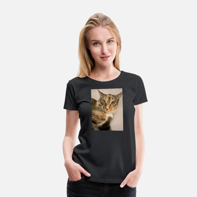 Tabby Cat Portrait Design