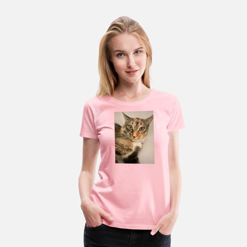 Tabby Cat Portrait Design