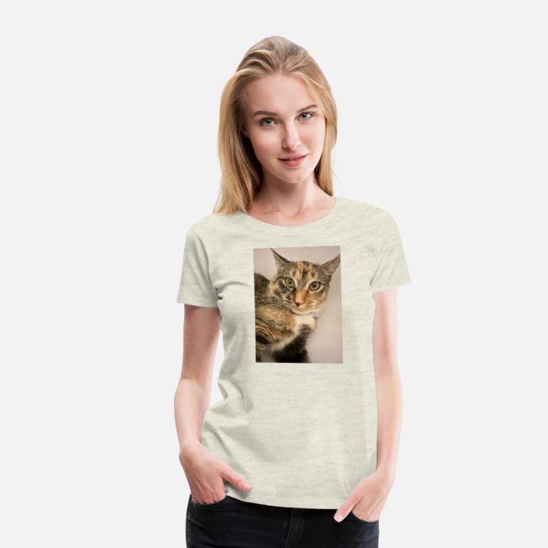 Tabby Cat Portrait Design