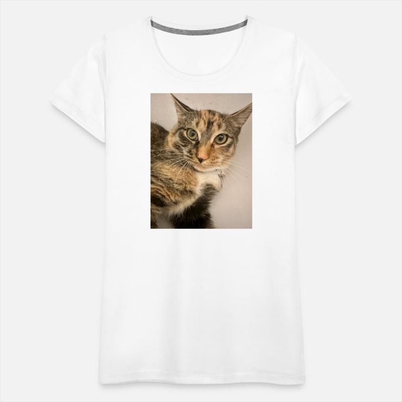 Tabby Cat Portrait Design