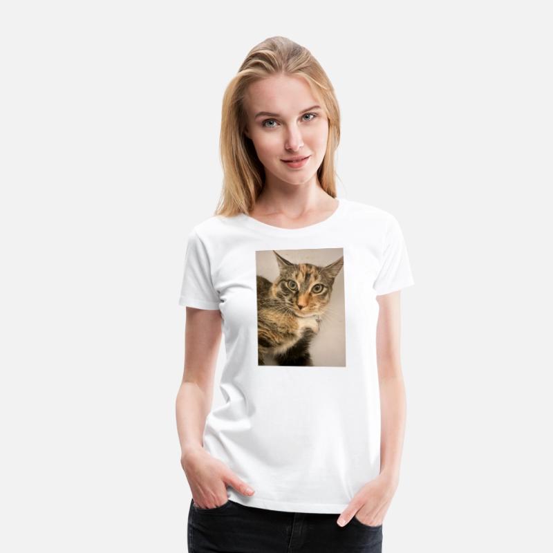 Tabby Cat Portrait Design