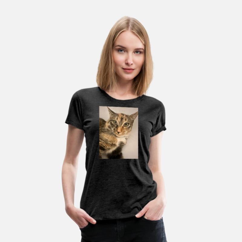 Tabby Cat Portrait Design