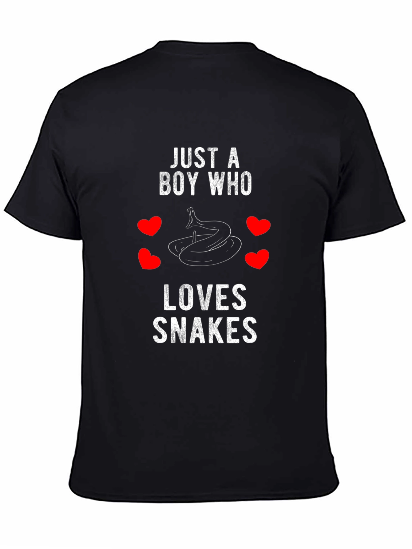 Just a Boy Who Loves Snakes Graphic Tee
