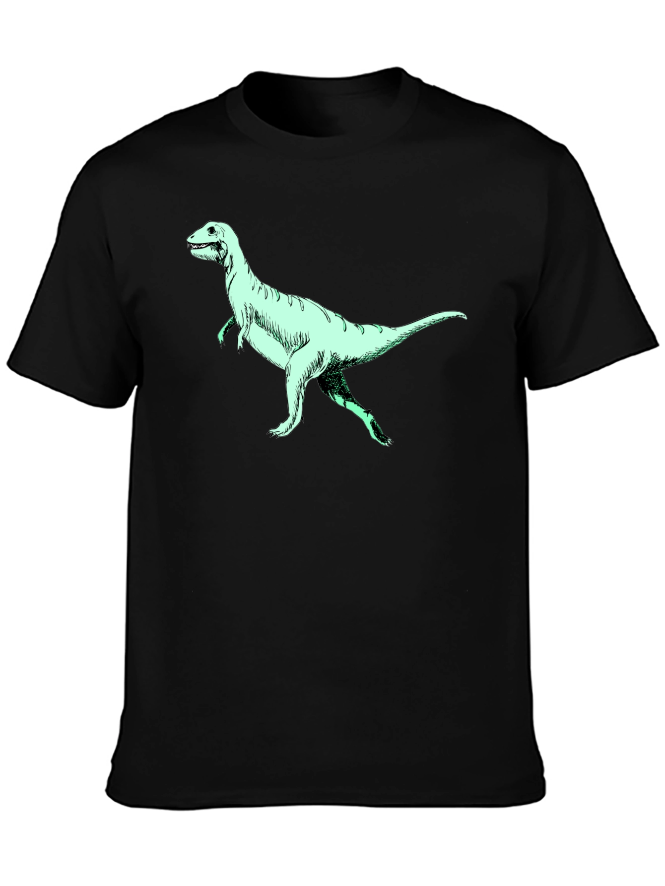Dinosaur Graphic Tee - Black Crew Neck T-Shirt