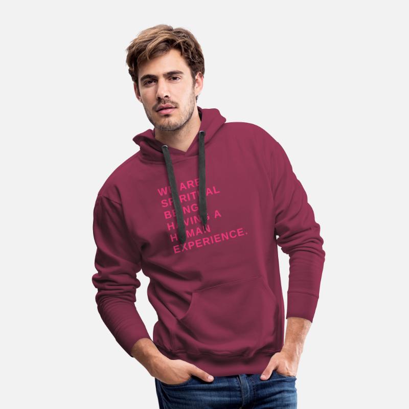 We are spiritual beings having a human experience