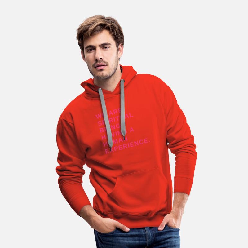 We are spiritual beings having a human experience