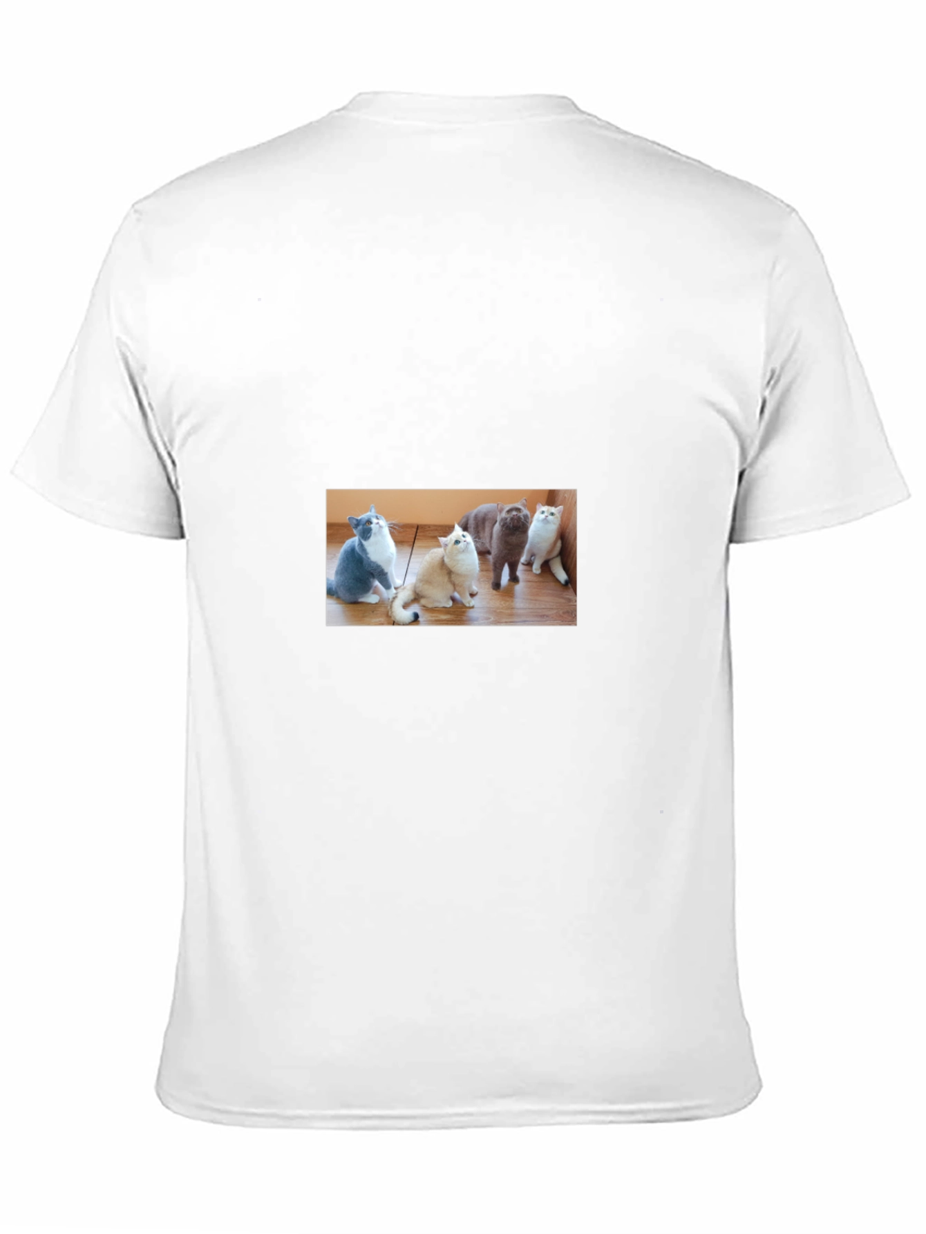 Cute Cats Graphic Black T-Shirt