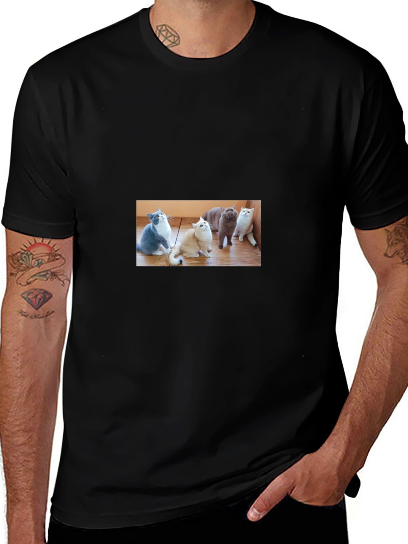 Cute Cats Graphic Black T-Shirt