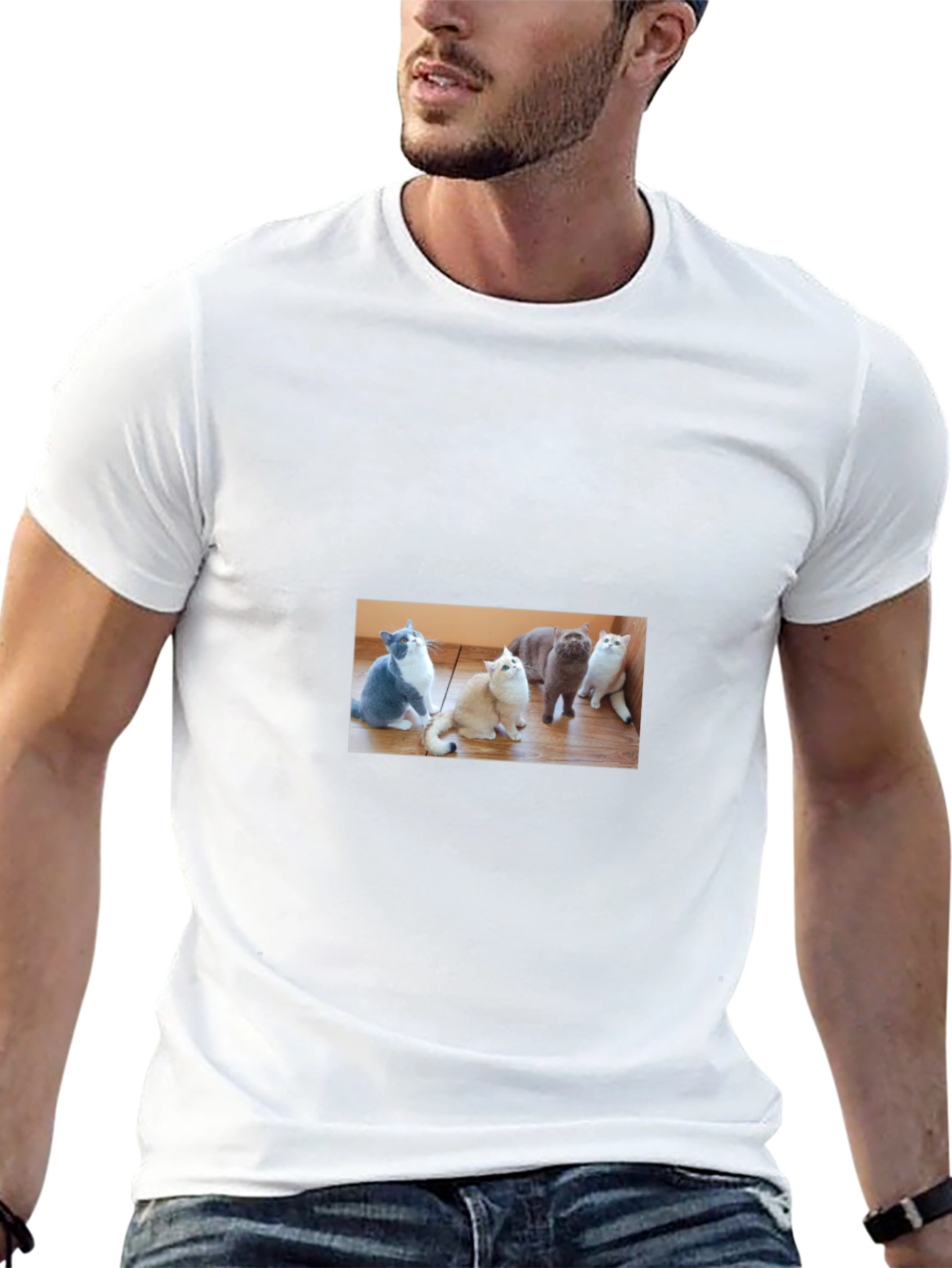 Cute Cats Graphic Black T-Shirt