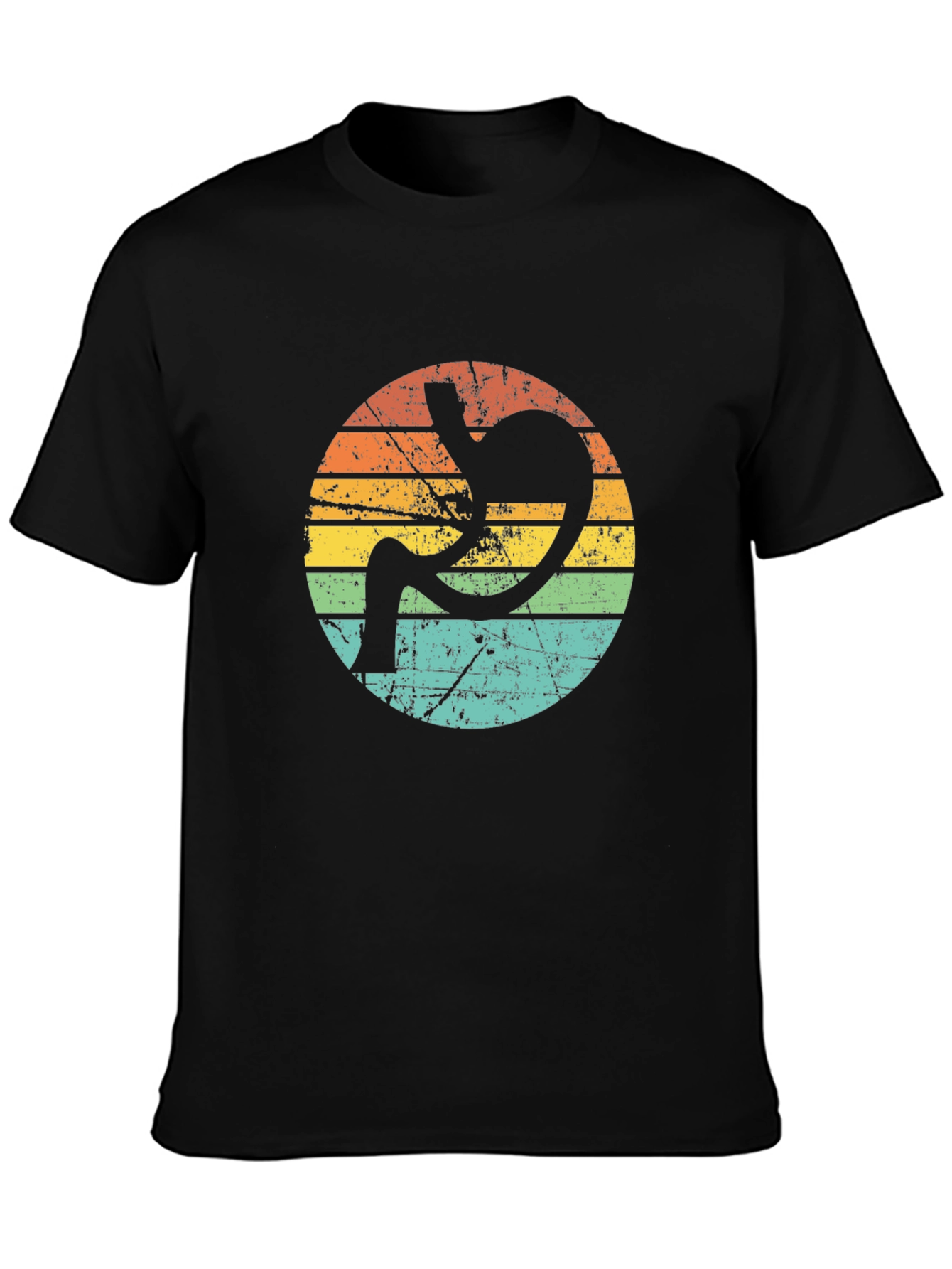 Retro Stomach Anatomy Graphic Tee - Black